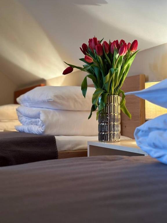 Hotel Marislav - ubytování Češnovice, Hluboká nad Vltavou